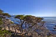 Asisbiz The Lonely Cypress Tree 17 Mile Drive Monterey California July 2011 29