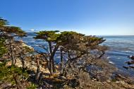 Asisbiz The Lonely Cypress Tree 17 Mile Drive Monterey California July 2011 30