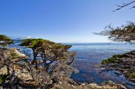 Asisbiz The Lonely Cypress Tree 17 Mile Drive Monterey California July 2011 31