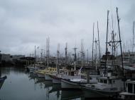 Asisbiz Fishermans Wharf Pier 39 marina San Francisco Bay area CA 05