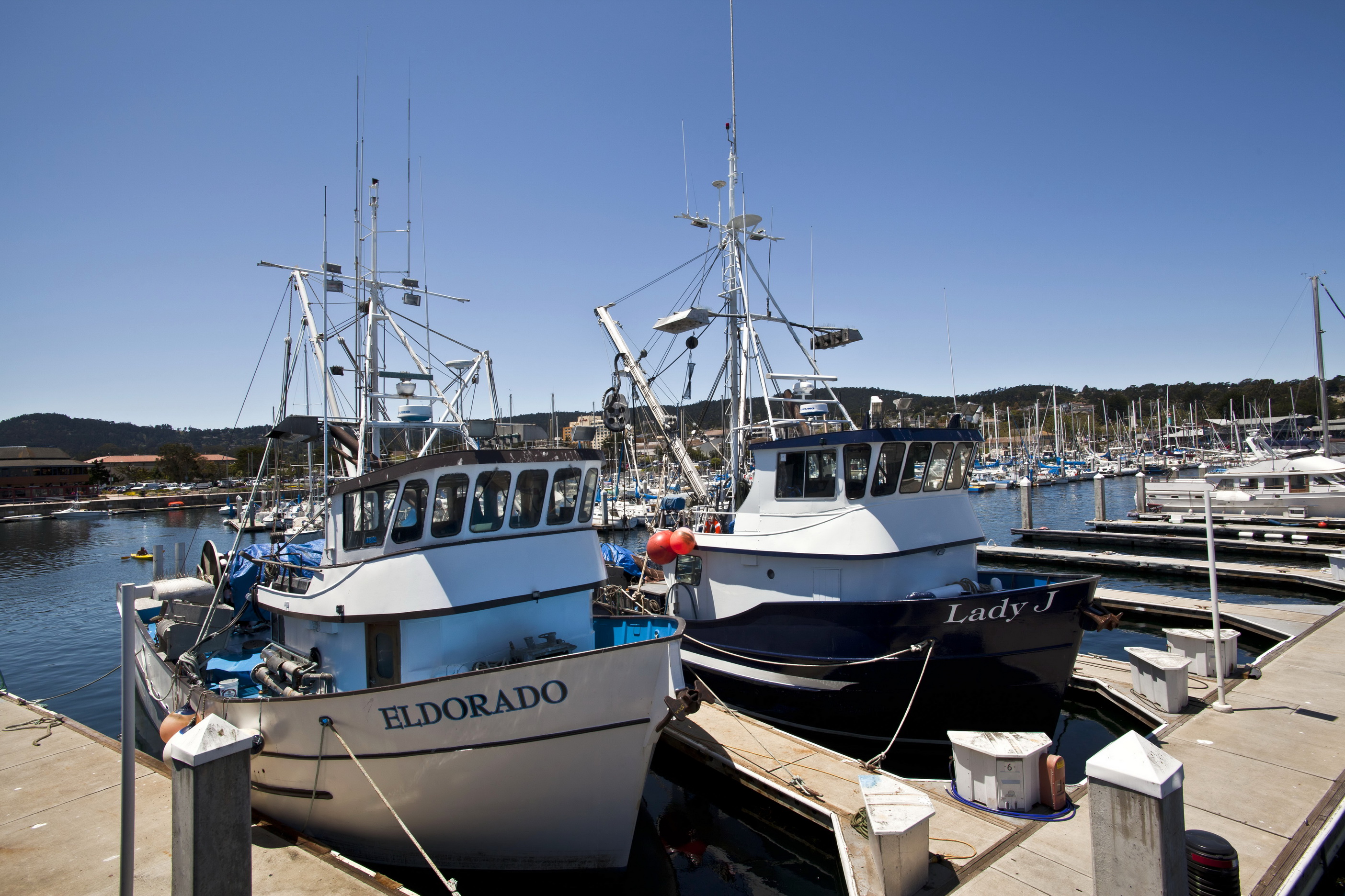Asisbiz Monterey Bay Marina viewd from Wharf 2 Monterey California July