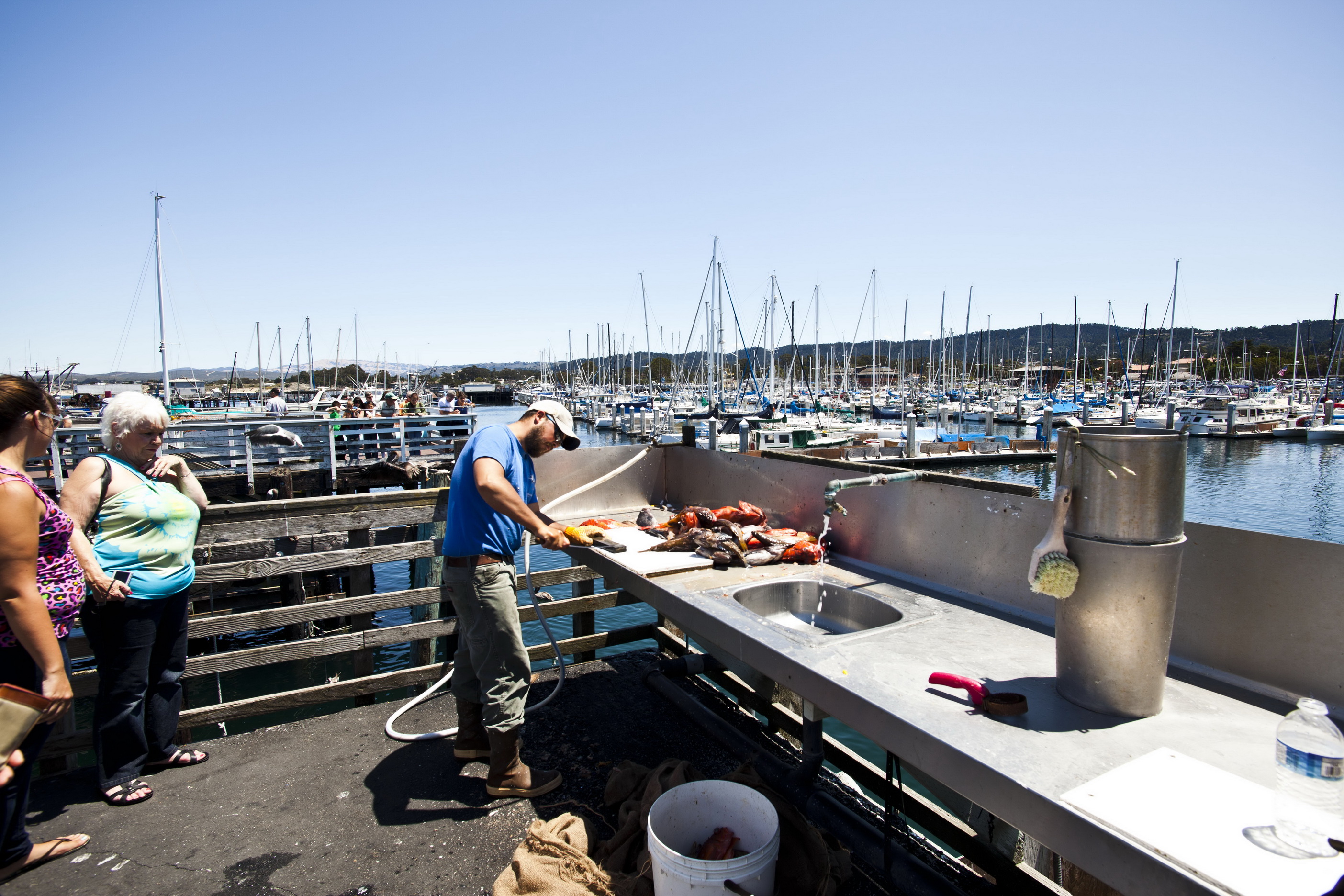 Old Fishermans Grotto Wharf fisherman processing the days catch