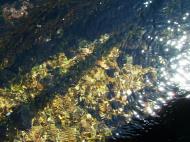 Asisbiz USA California Monterey Carmel Aug 2004 03