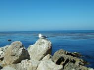 Asisbiz USA California Monterey Carmel Aug 2004 11