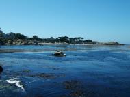 Asisbiz USA California Monterey Carmel Aug 2004 22