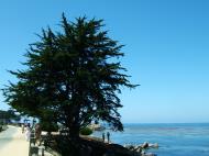 Asisbiz USA California Monterey Carmel Aug 2004 24