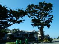 Asisbiz USA California Monterey Carmel Aug 2004 39