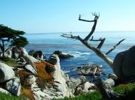 Asisbiz USA California Monterey Pebble Beach Aug 2004 11