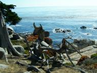 Asisbiz USA California Monterey Pebble Beach Aug 2004 16