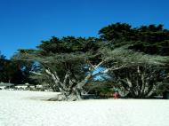 Asisbiz USA California Monterey Pebble Beach Aug 2004 24