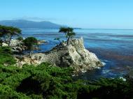Asisbiz USA California Monterey Pebble Beach the Lone Cypress Aug 2004 10