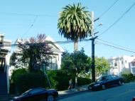 Asisbiz Panoramic street scenes San Francisco California Aug 2004 17