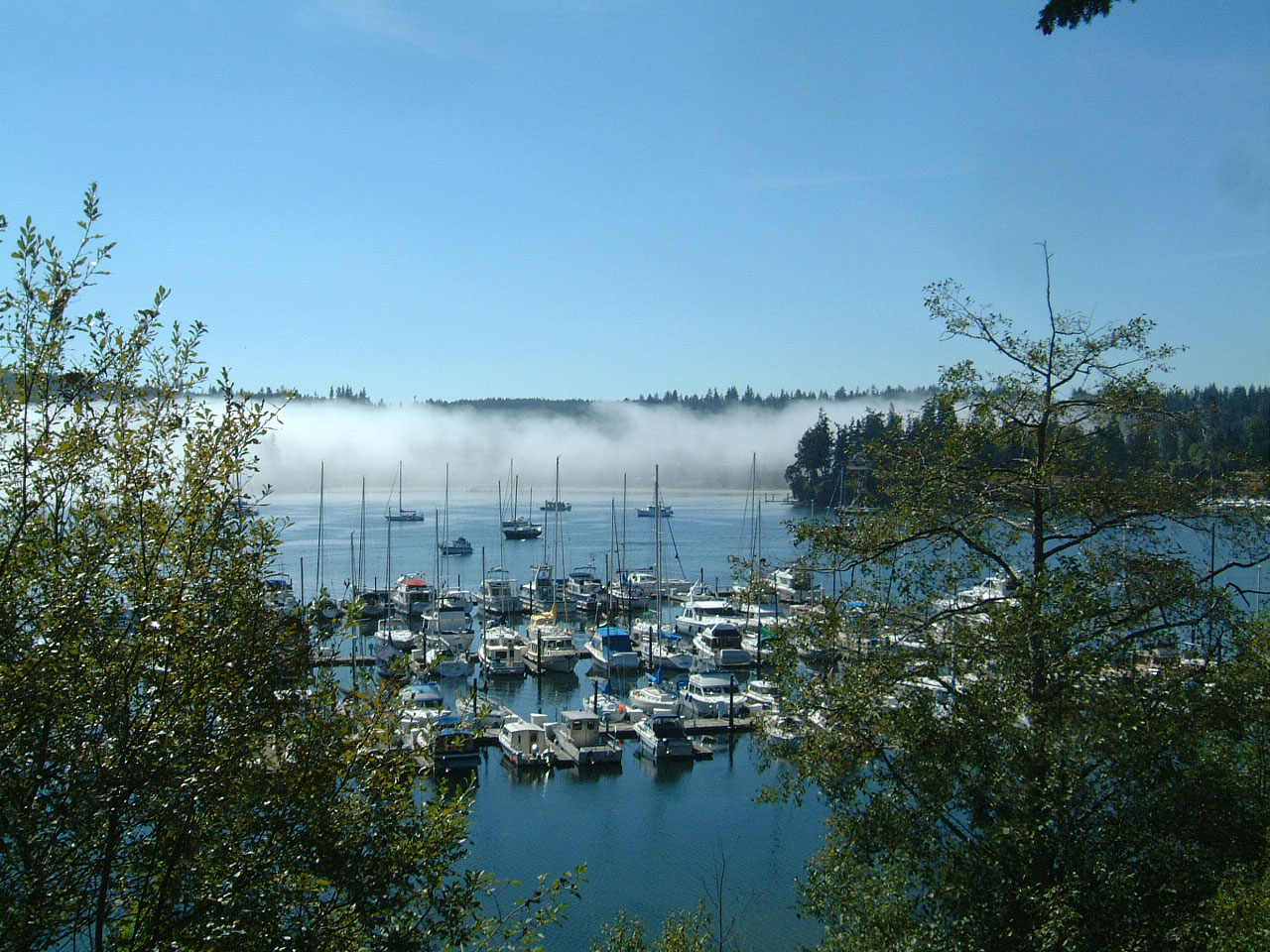 Scenic Drive to Port Townsend from Seattle Aug 2004 10