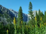 Asisbiz Yosemite National Park Yosemite CA 95389 0577 Aug 2004 05