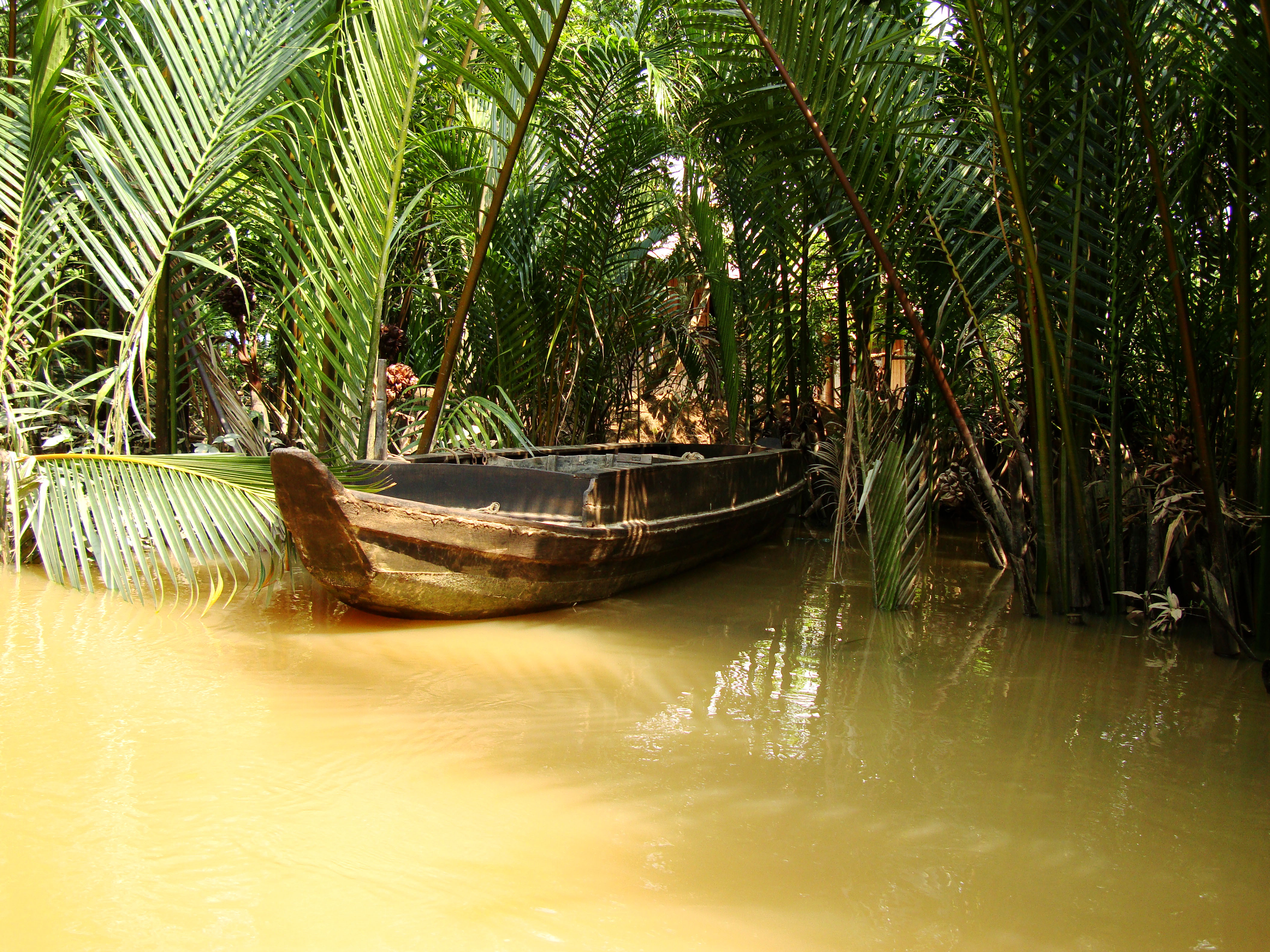 Mekong Delta Saigon River cruise 4th stage canoe Nov 2009 07