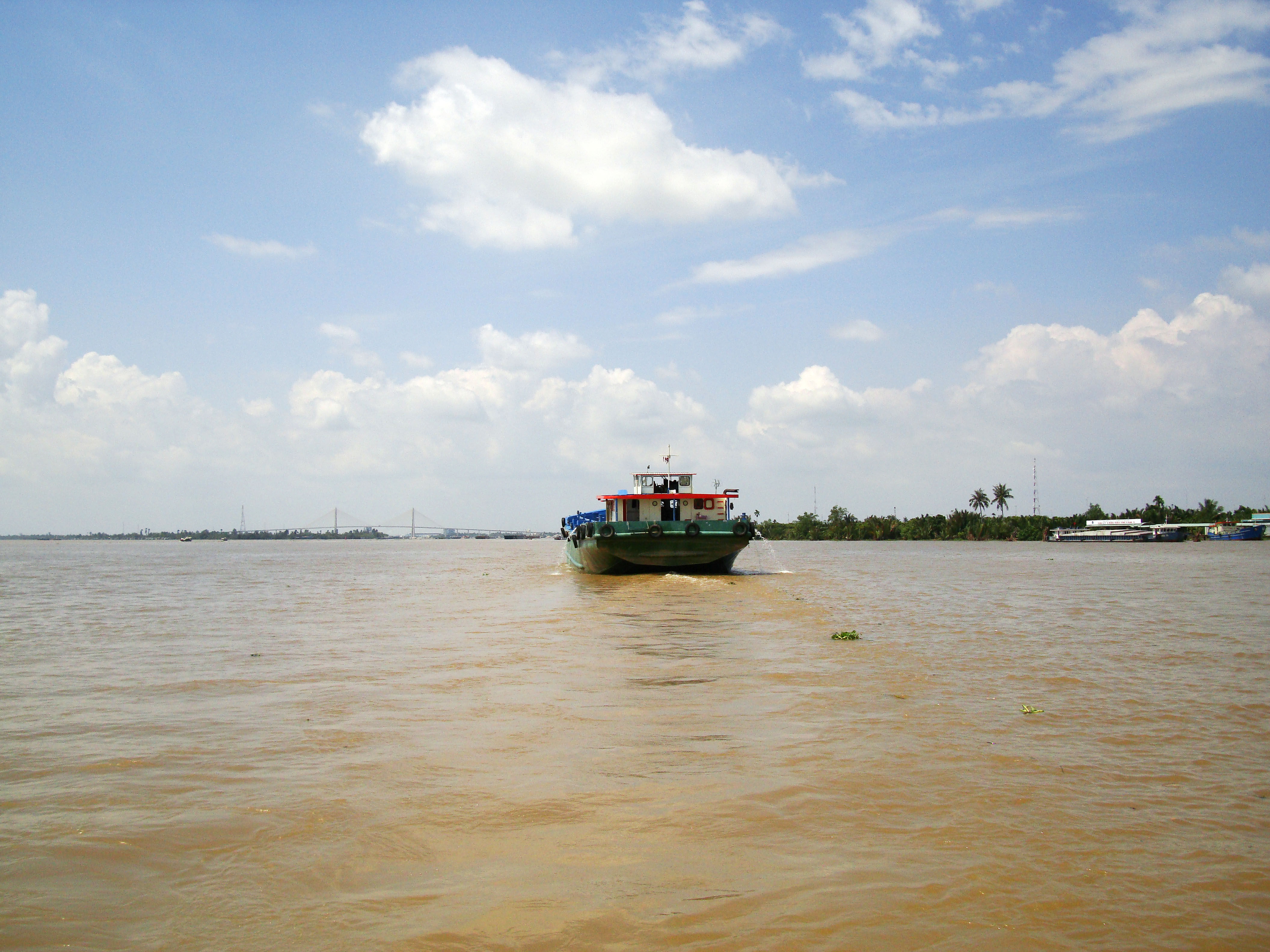 Mekong Delta Saigon river boats Nov 2009 21