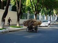 Asisbiz Vietnam Ho Chi Minh City street scenes push bikes Feb 2009 027