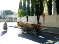 Asisbiz Vietnam Ho Chi Minh City street scenes push bikes Feb 2009 029