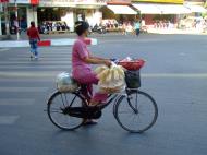 Asisbiz Vietnam Ho Chi Minh City street scenes push bikes Feb 2009 085