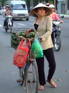 Asisbiz Vietnam Ho Chi Minh City street scenes push bikes Feb 2009 119