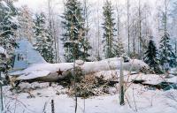 Asisbiz Soviet Ilyushin DB 3 bomber shot down by Finnish fighters and crashed at DB Lapanpihan during the Winter War 5th Feb 1940 01