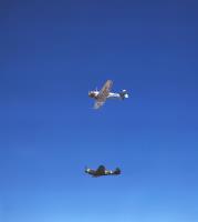 Asisbiz WW2 Color photo USAAF North American AT 6C Texan training aircraft used in USA 09