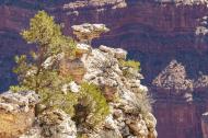 Asisbiz Landscapes America South Rim 1 South Entrance Road Grand Canyon Arizona USA Oct 2014 05