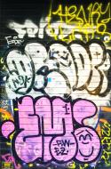 Asisbiz Graffiti street art photographed in Spain Barcelona artist unk using Iphone 6 Jul 2015 534