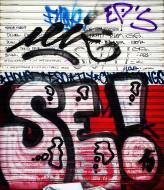 Asisbiz Graffiti street art photographed in Spain San Sebastian artist unk using Iphone 10 Jul 2015 06