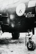 Asisbiz Douglas A 20G Havoc 12AF 47BG Black Widder right side nose art FRE11112