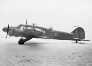 Asisbiz Anson I RAF AAEE Aeroplane and Armament Experimental Establishment LT112 at Boscombe Down Wiltshire IWM MH5622