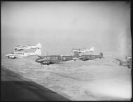 Asisbiz RAAF Avro Ansons on a training flight based in Mascot Richmond Sep 1943 01