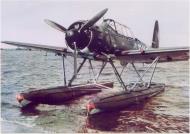 Asisbiz Color photo showing the front profile view of a Arado Ar 196 moored close to shore 01