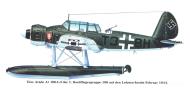 Asisbiz Arado Ar 196A2 1.BoFlGr196 T3+BH Lofoten Islands 1944 0A