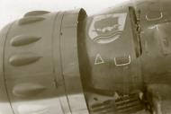 Asisbiz Arado Ar 196A1 5.BoFlGr196 emblem close up photo ebay 01