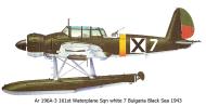 Asisbiz Arado Ar 196A3 161st Waterplane Sqn white 7 Bulgaria Black Sea 1943 0A