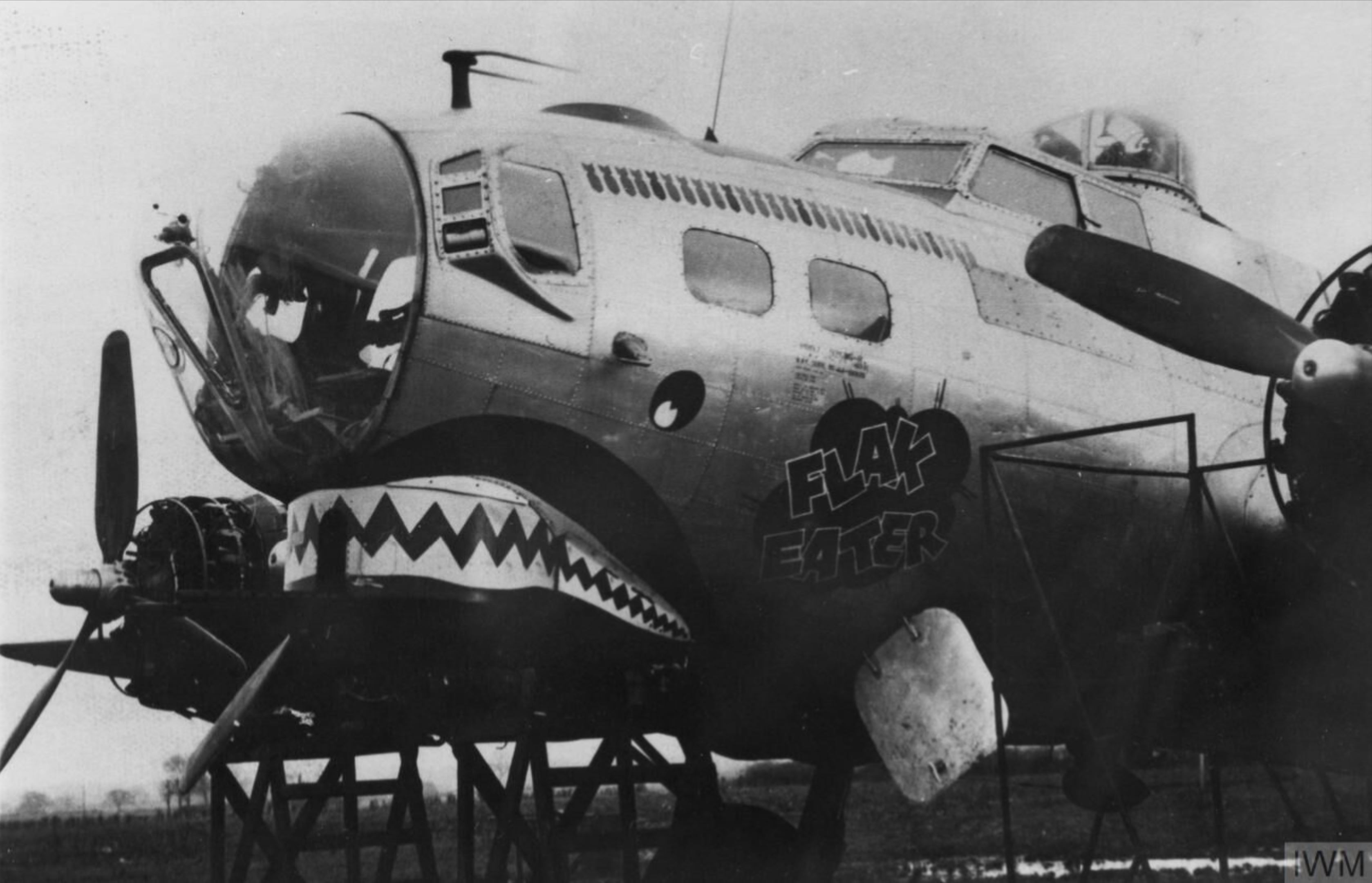 44-6009 B-17G Fortress 8AF 305BG364BS WFJ Flak Eater nose art left side with 25 Missions FRE4328