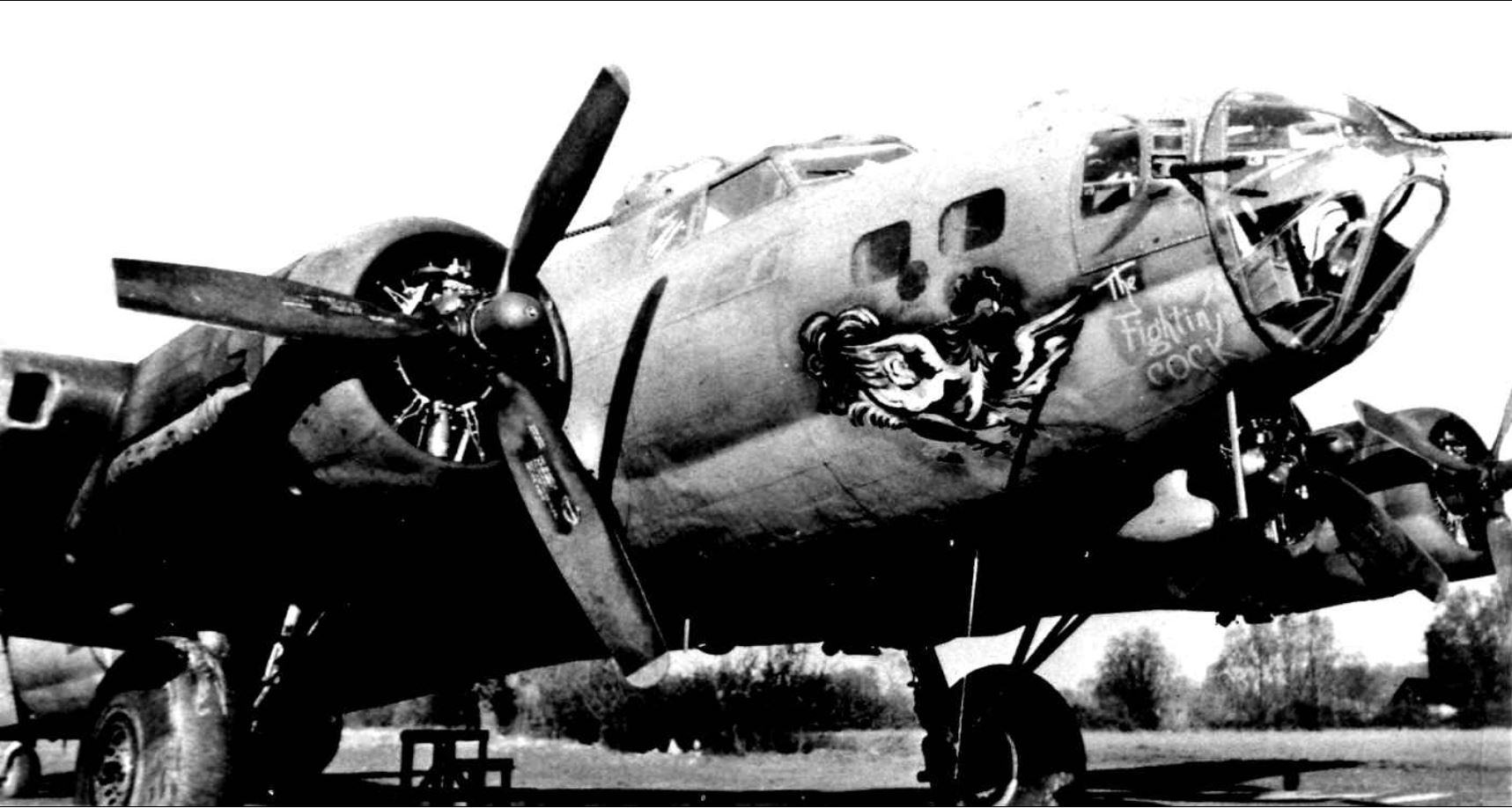 42-3397 B-17F Fortress 8AF 385BG551BS HRH Fighting Cock nose art right side 01