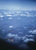 Asisbiz Boeing B 17 Fortresses 8AF 398BG fly in formation during a mission FRE6502