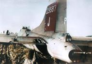 Asisbiz 42 29587 B-17F Fortress 8AF 91BG401BS LLJ Jolly Roger shot down near Gelsenkirchen 9 POW 12th Aug 1943 eBay 01