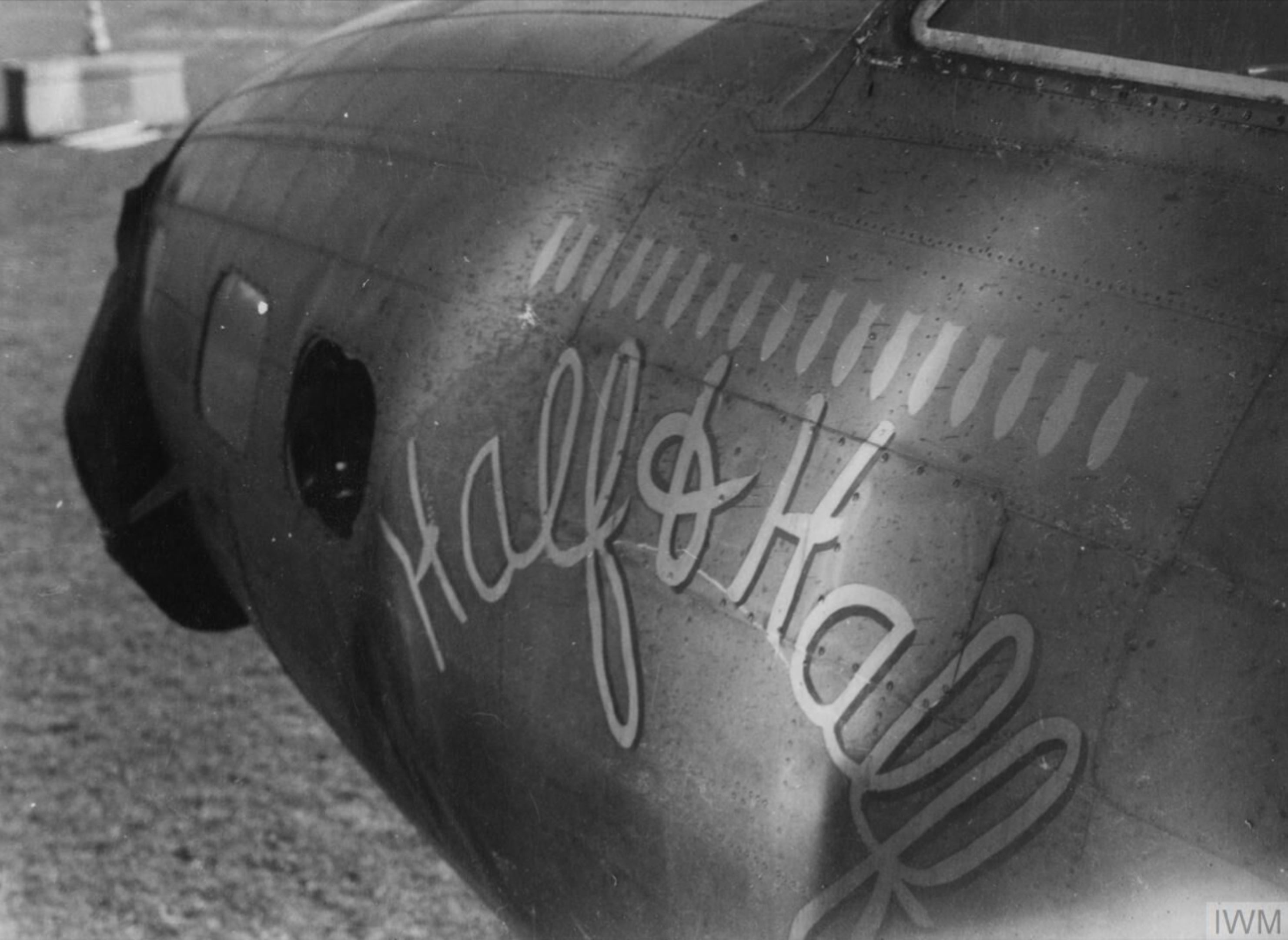 Boeing B-17F Fortress 8AF 96BG Half n Half nose art left side FRE3941