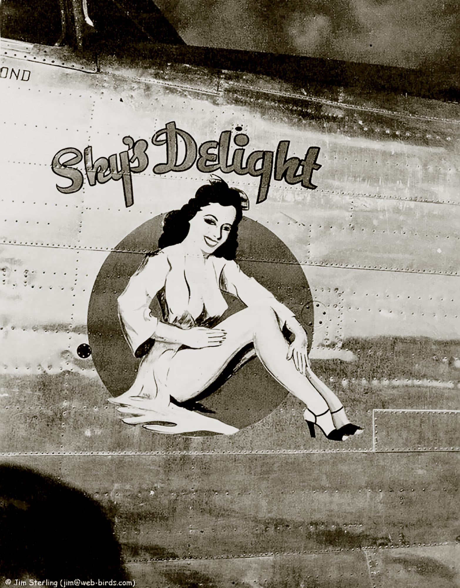 44-40673 B-24J Liberator 7AF 11BG431BS Sky's Delight nose art right side Central Pacific 1943 45 01