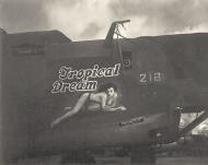 Asisbiz 42-100218 B-24J Liberator 7AF 11BG98BS Tropical Dream nose art right side Central Pacific 1943 45 01