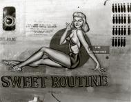 Asisbiz 44-40527 B-24J Liberator 7AF 11BG26BS Sweet Routine nose art left side 01