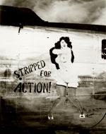 Asisbiz 44-41501 B-24L Liberator 7AF 11BG431BS Stripped for Action nose art right side Central Pacific 1943 45 01