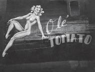 Asisbiz 42-100291 B-24J Liberator 5AF 22BG33BS Ole' Tomato nose art right side New Guinea 01