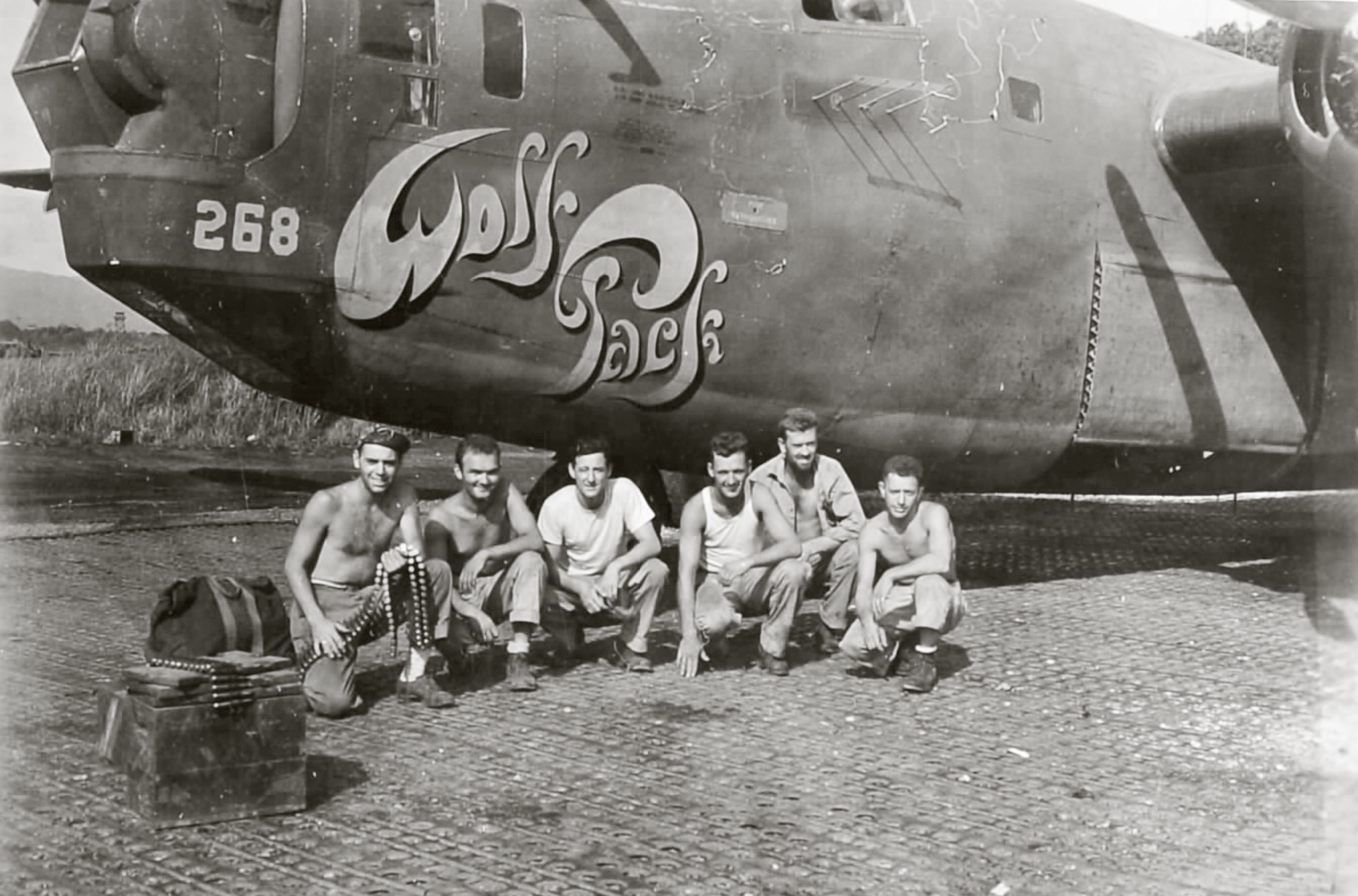 41-24268 B-24D Liberator 7AF 307BG371BS Wolf Pack nose art left side Guadalcanal 1943 01