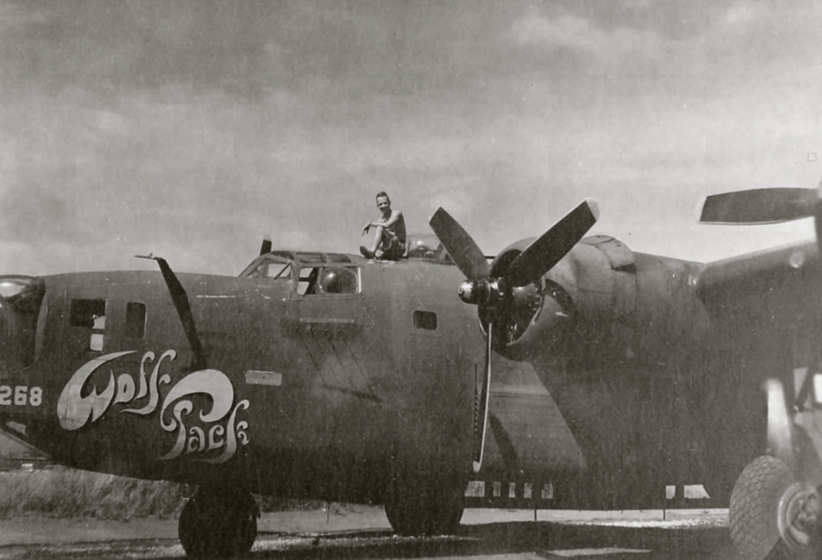 41-24268 B-24D Liberator 7AF 307BG371BS Wolf Pack nose art left side Guadalcanal 1943 02