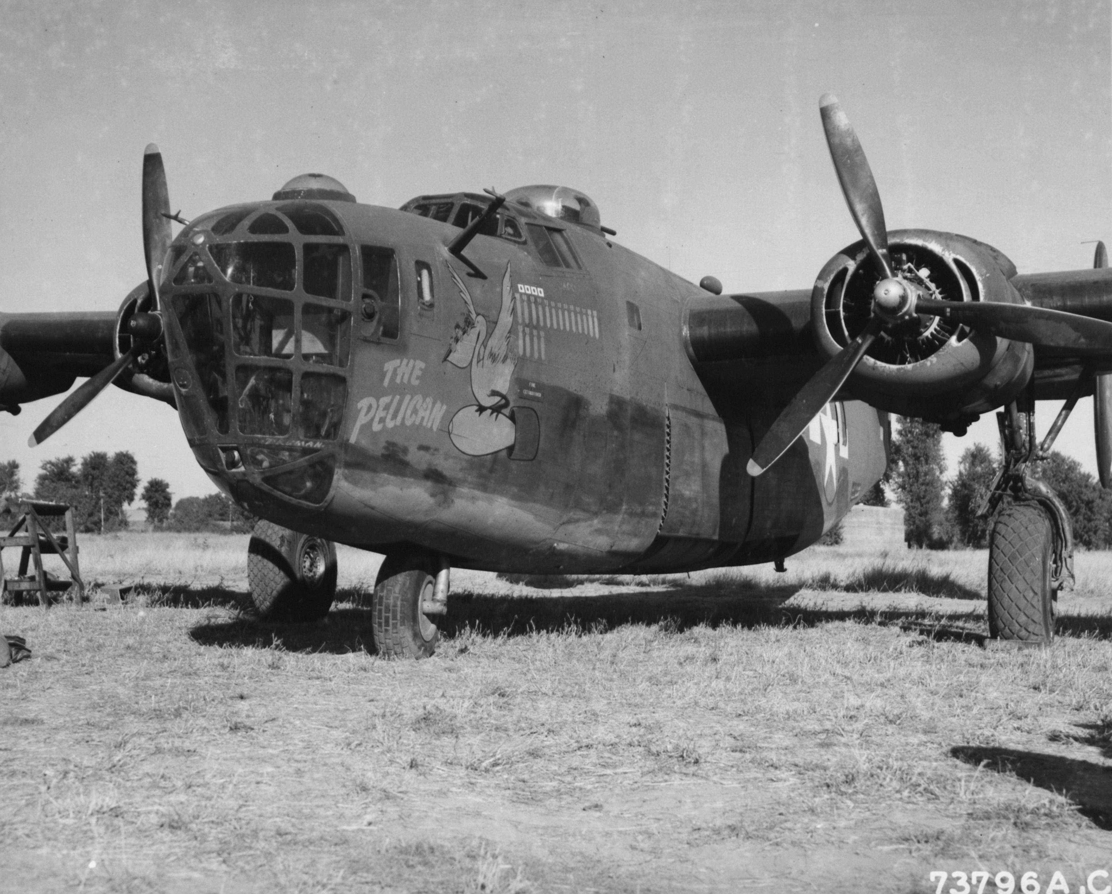41-24193 B-24D Liberator 14AF 308BG425BS The Pelican CBI 01
