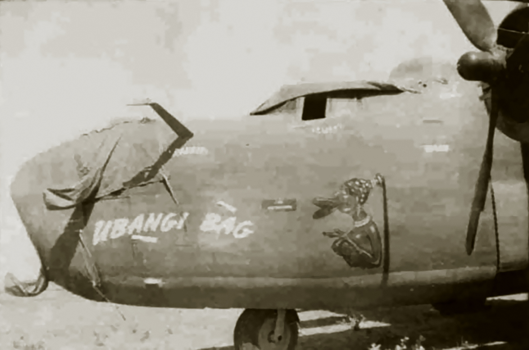 41-24194 B-24D Liberator 14AF 308BG374BS Ubangi Bag nose art left side China 01